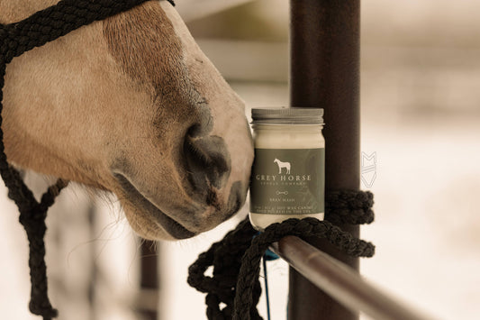 Grey Horse Candles- Holiday Collection