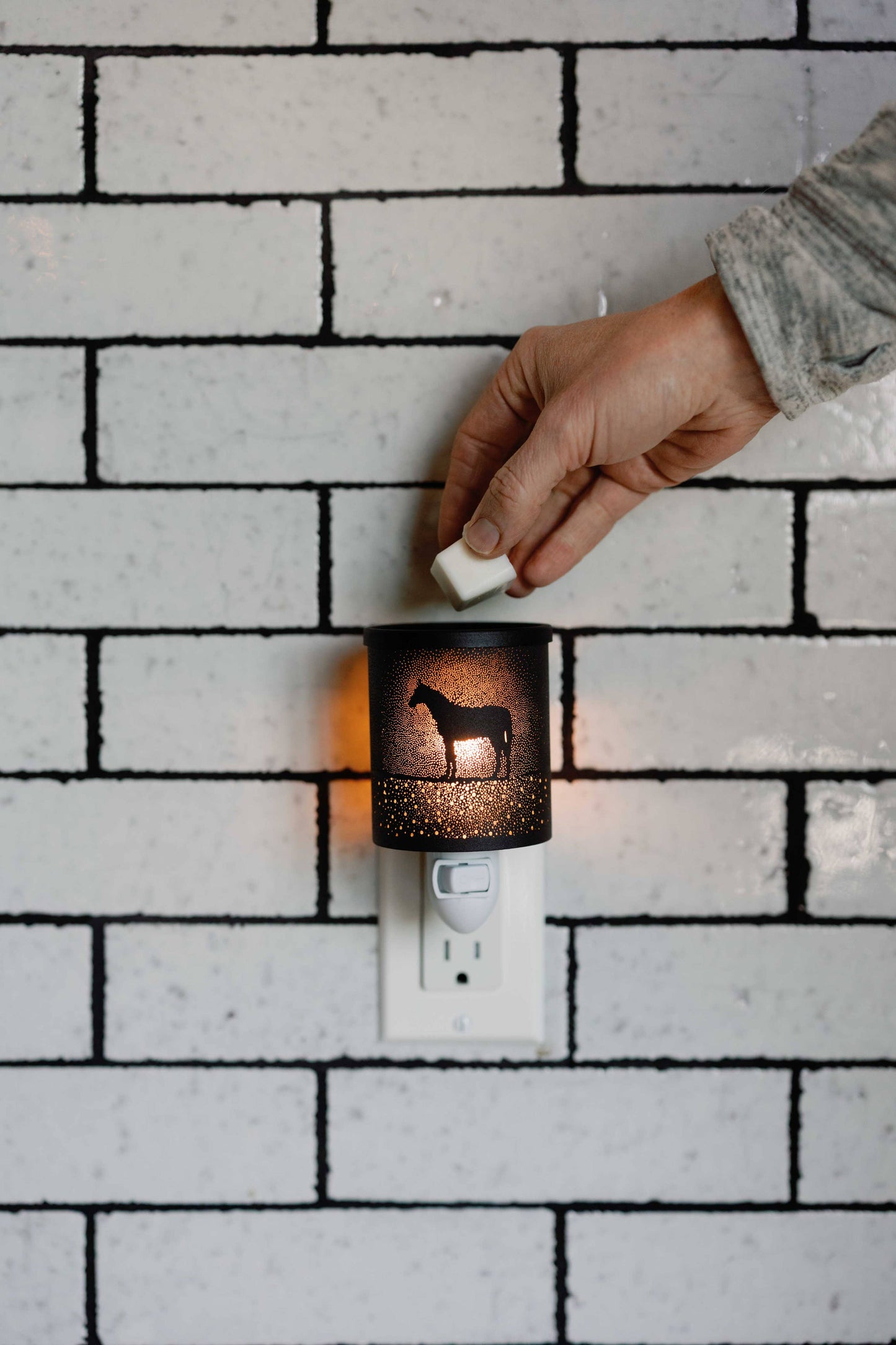 Horse Wax Warmer